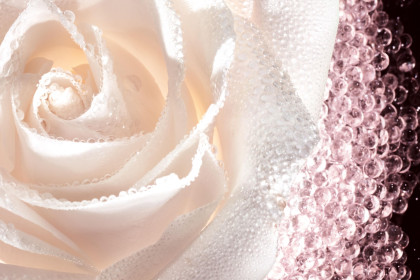 Dior Prestige Le Micro Caviar Rose tratament ten 75 ml